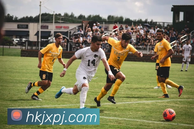 新葡京娱乐APP 封面图